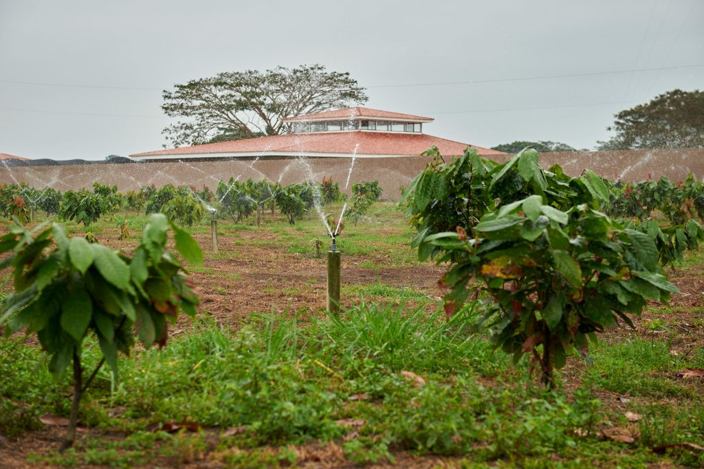 San Fernando 7